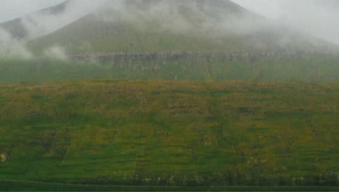 The Faroese Way Heima